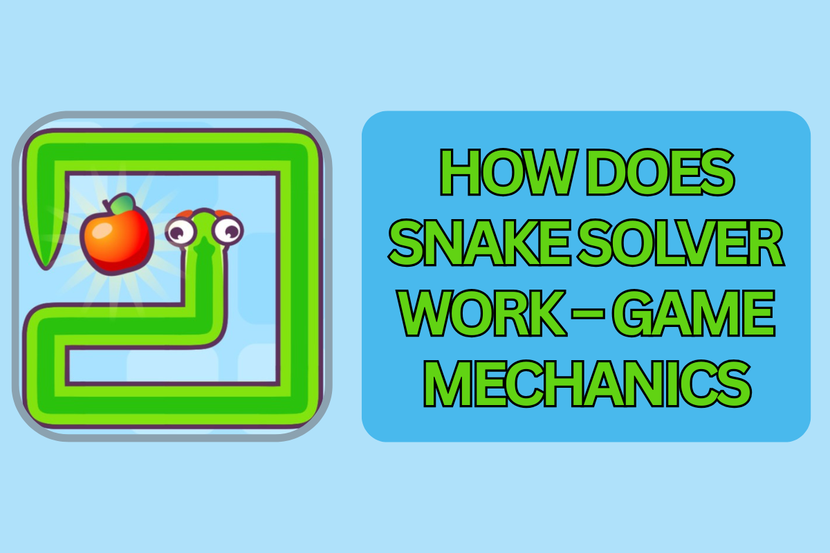 Learn in detail about the mechanics of how the Snake Solver game works.